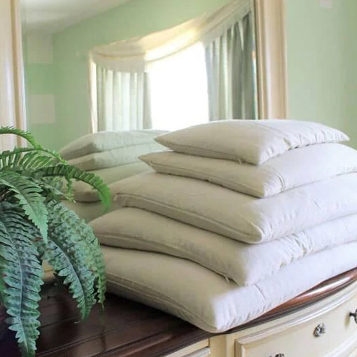 Turmerry Sobakawa Buckwheat Pillows & Reviews Wayfair